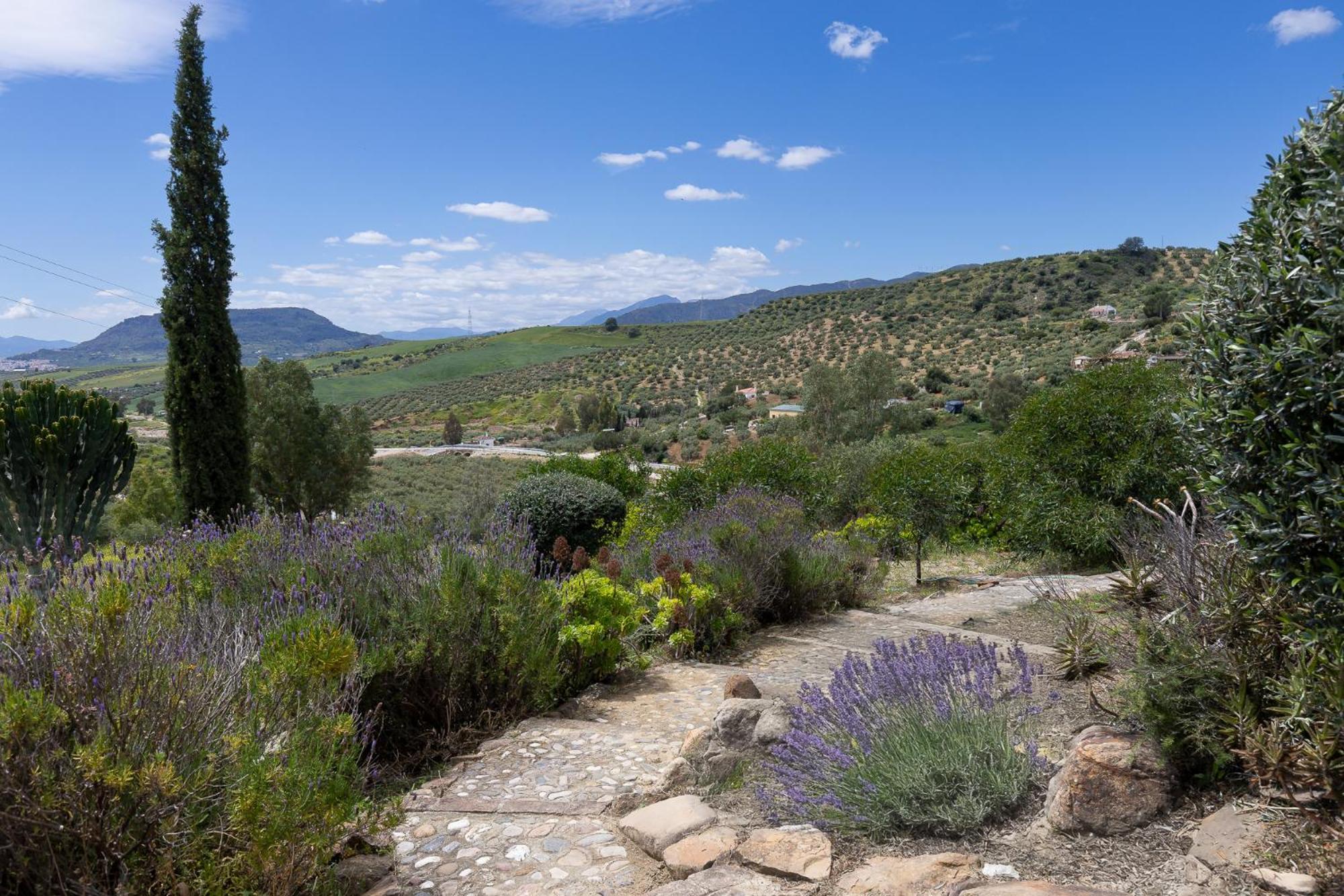 Boutique B&B Cortijo Valverde 埃尔乔罗 外观 照片