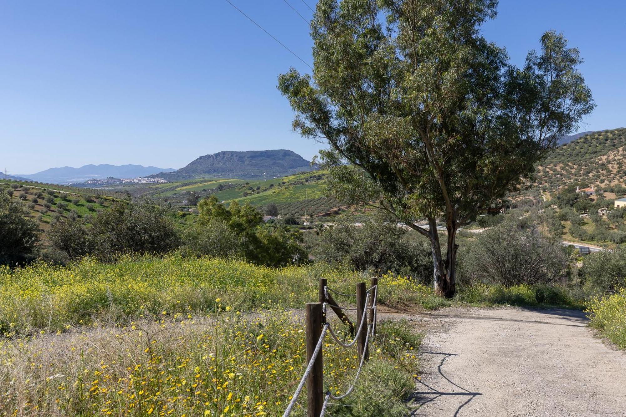 Boutique B&B Cortijo Valverde 埃尔乔罗 外观 照片